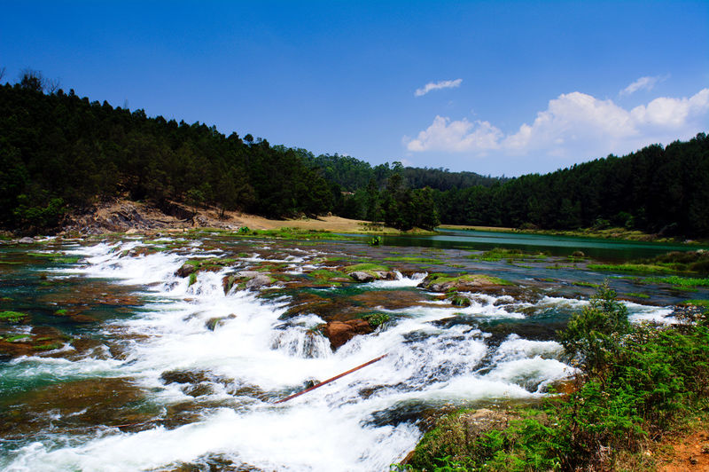 चित्र:Pykara-River-and-Falls-7.jpg