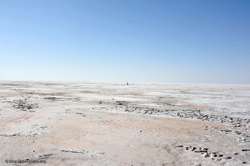 चित्र:Rann-Of-Kachchh-8.jpg