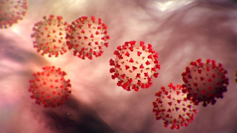 चित्र:Corona-Virus-COVID-19.jpg