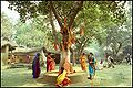 16:22, 26 फ़रवरी 2011 के संस्करण का थंबनेल संस्करण