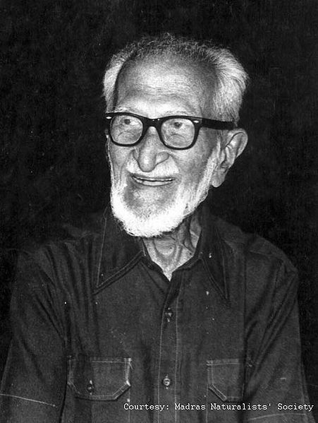 चित्र:Salim-Ali.jpg