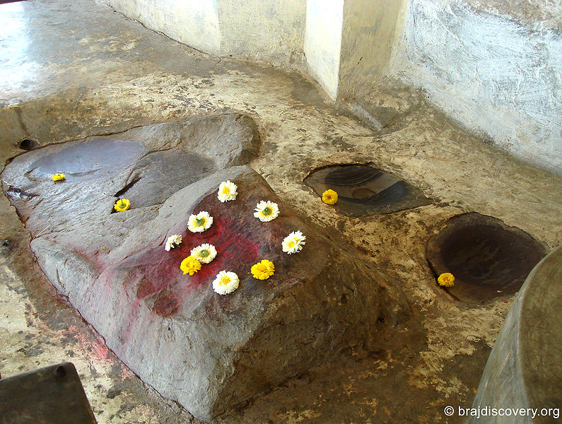 चित्र:Bhojan-Thali-Kamyavan-Kama-2.jpg