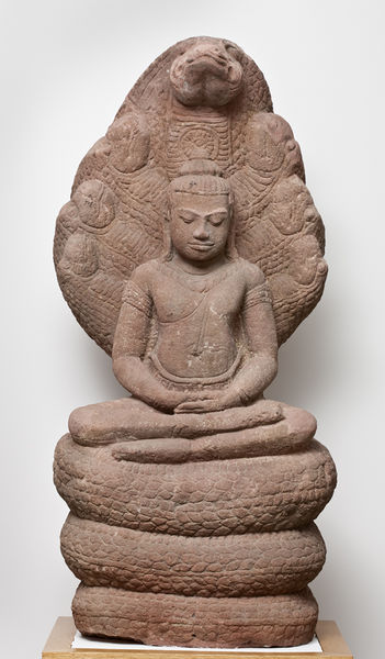 चित्र:Mucalinda.jpg
