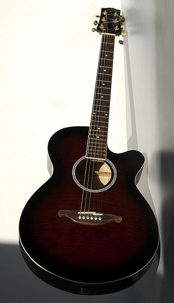 चित्र:Guitar.jpg