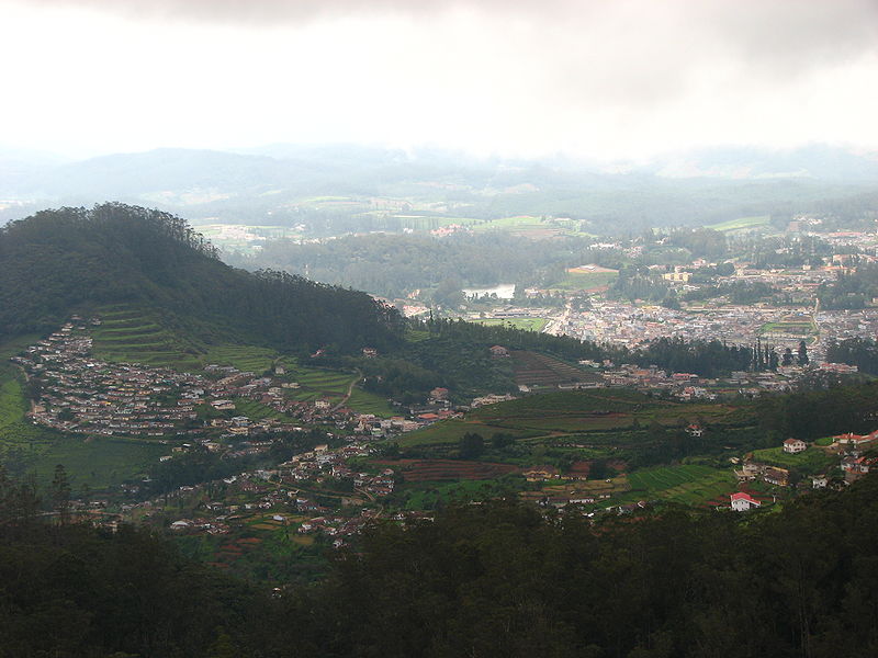 चित्र:Doddabetta-Peak.jpg