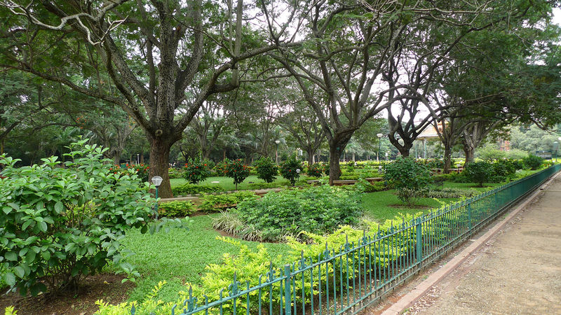 चित्र:Cubbon-Park-1.jpg