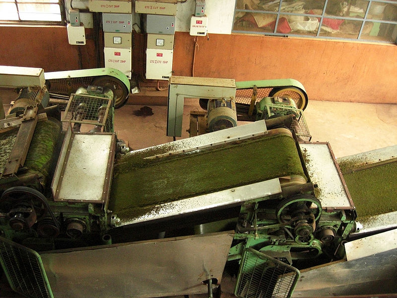 चित्र:Tea-Factory-1.jpg