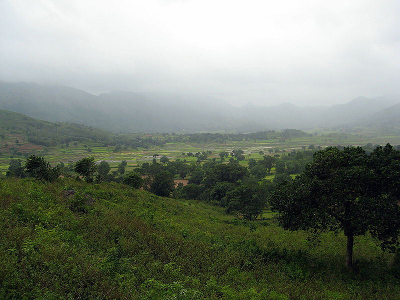 चित्र:Araku-Valley-1.jpg