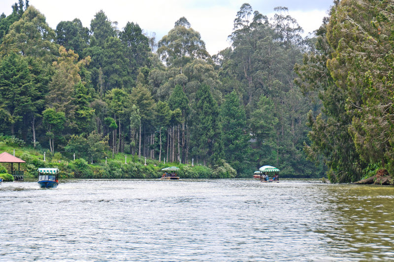 चित्र:Ooty Lake-7.jpg