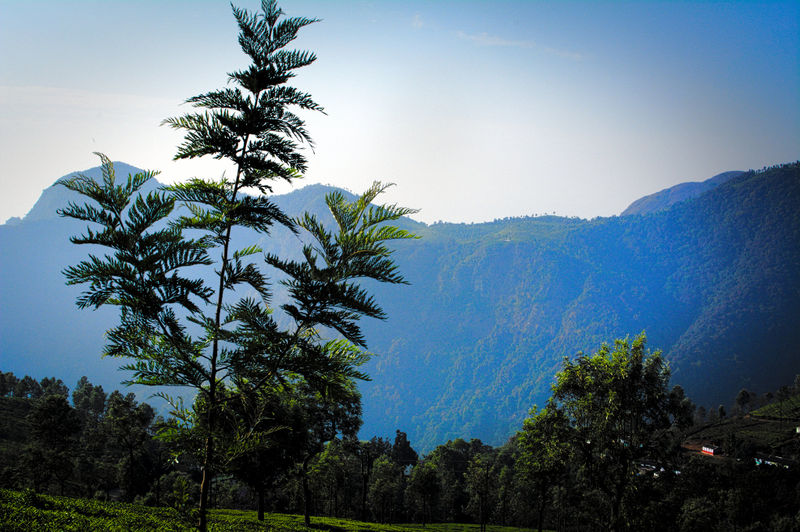 चित्र:Coonoor-3.jpg