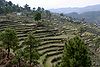 Kumaon.jpg