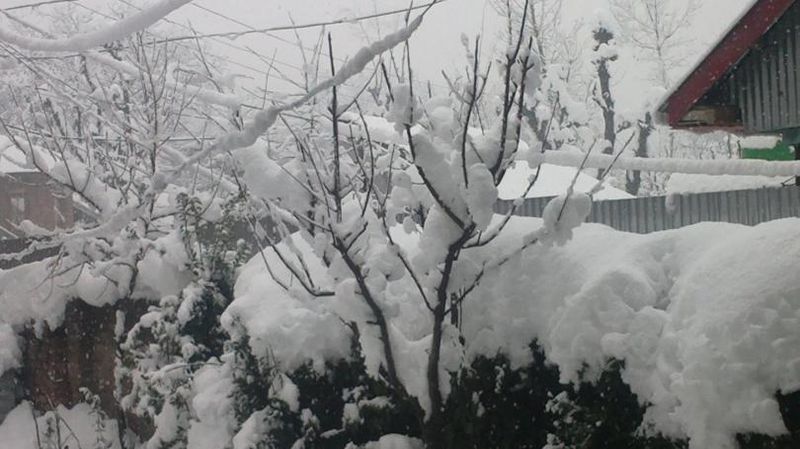 चित्र:Nature-Of-Baramulla.jpg