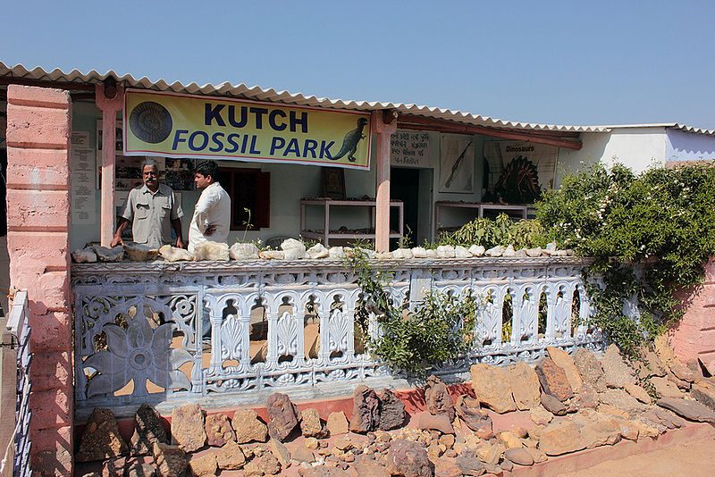 चित्र:Kutch-Fossil-Park.jpg