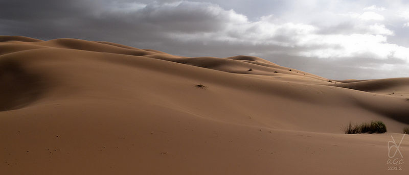 चित्र:Sahara-Desert.jpg