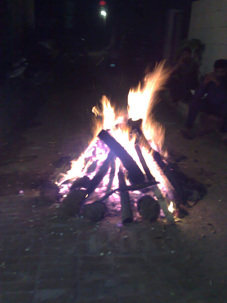 चित्र:Lohri-2.jpg