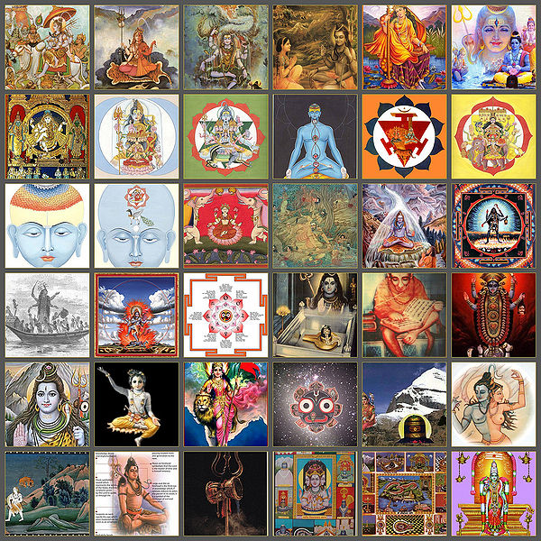 चित्र:Shiva-Colag.jpg