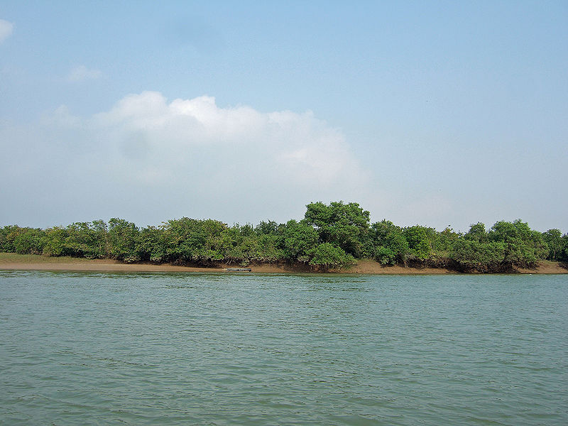 चित्र:Bhitarkanika-National-Park.jpg