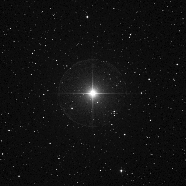 चित्र:Pole-Star.gif