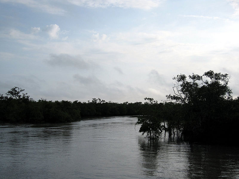 चित्र:Sundarbans.jpg