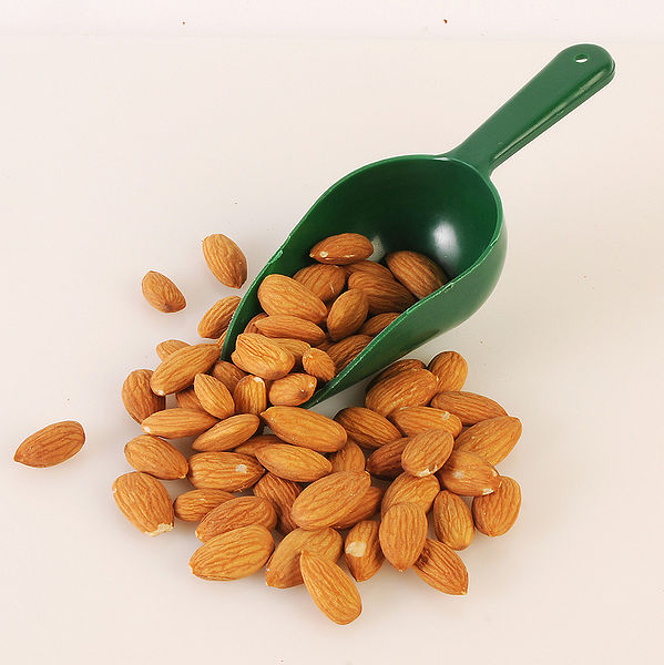 चित्र:Almond.jpg