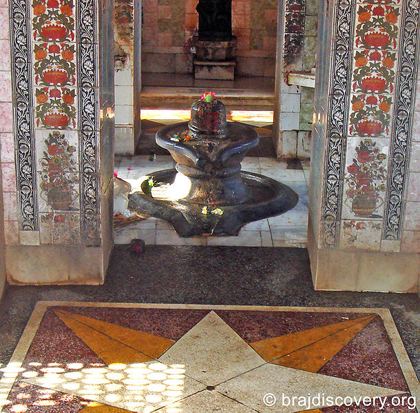 चित्र:Vimal-Kund-Neelkantheshwar-Mahadeva-Kamyavan-Kama-3.jpg