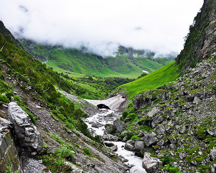 चित्र:Valley-Of-Flowers-1.jpg