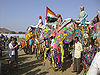 Elephant-Festival-Jaipur.jpg