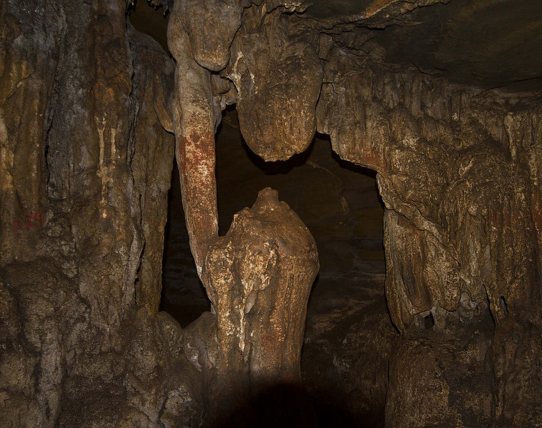 चित्र:Limestone-Caves-Kanger-Ghati-National-Park.jpg