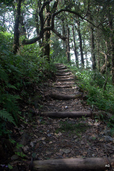 चित्र:Dhanaulti-10.jpg