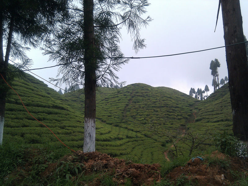 चित्र:Mirik-5.jpg