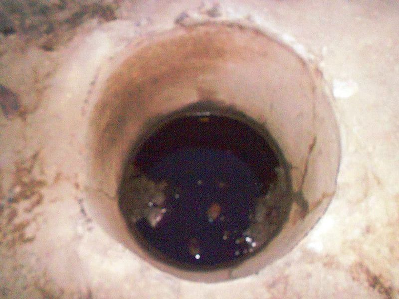 चित्र:Tusharan Vihar Pratapgarh2.jpg