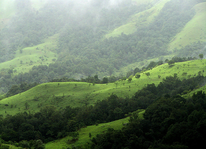 चित्र:Kudremukh.jpg