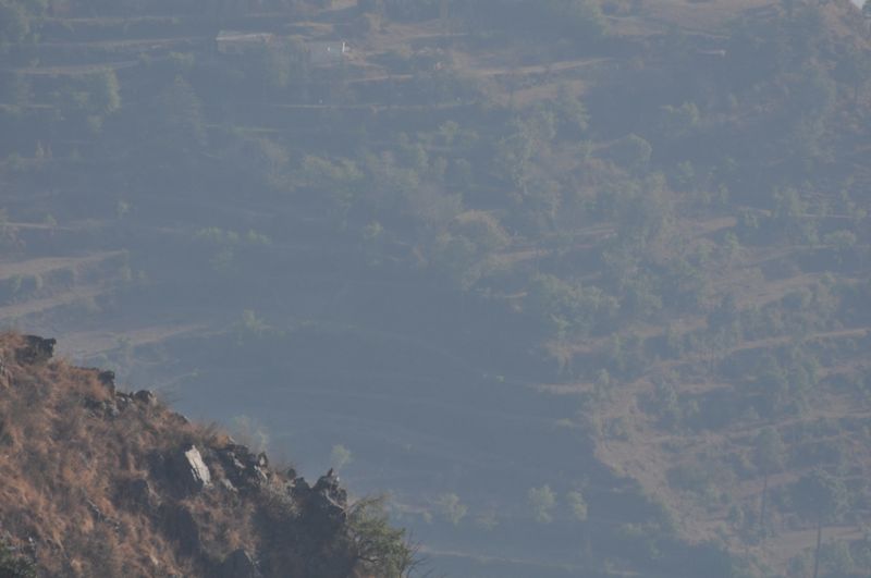चित्र:Chail-9.jpg