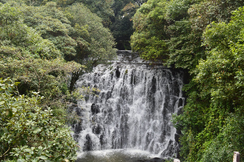 चित्र:Elephant Falls-5.jpg