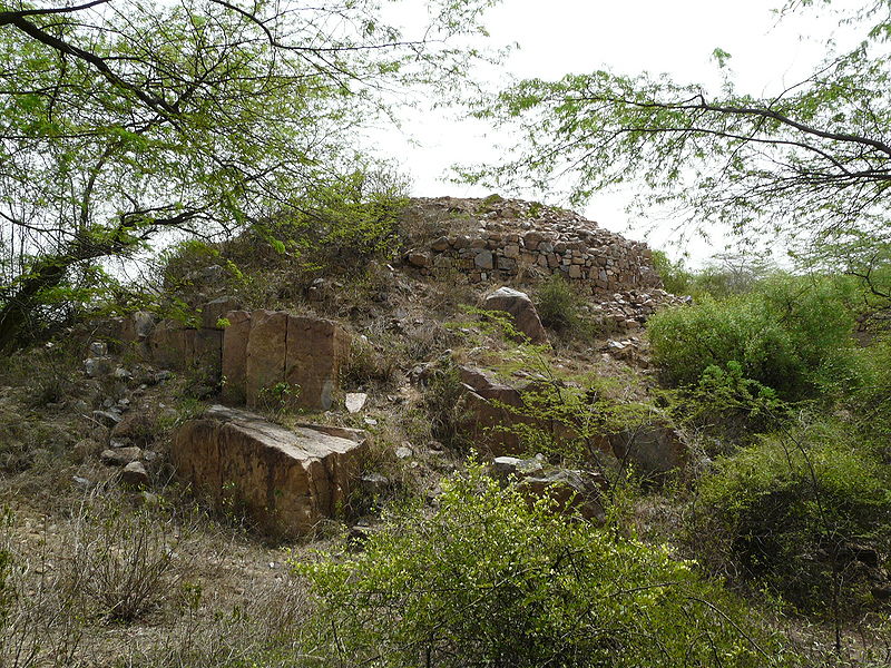 चित्र:Lal-Kot-1.jpg