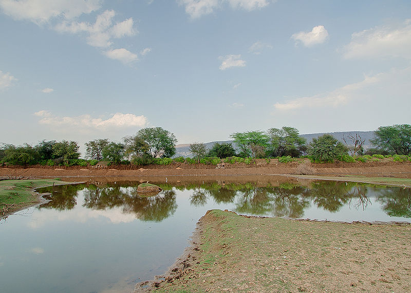 चित्र:Sariska-Alwar-2.jpg