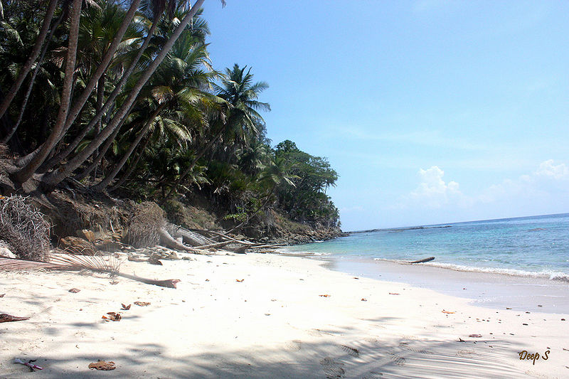 चित्र:Ferar-Beach-Ross-Island-1.jpg
