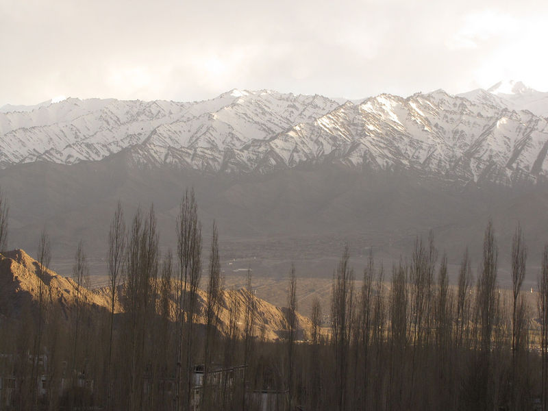 चित्र:Leh-9.jpg