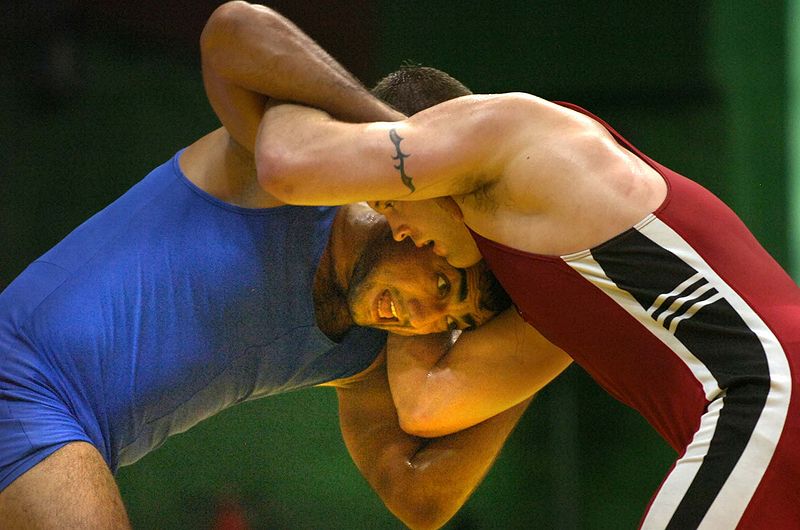 चित्र:Wrestling.jpg