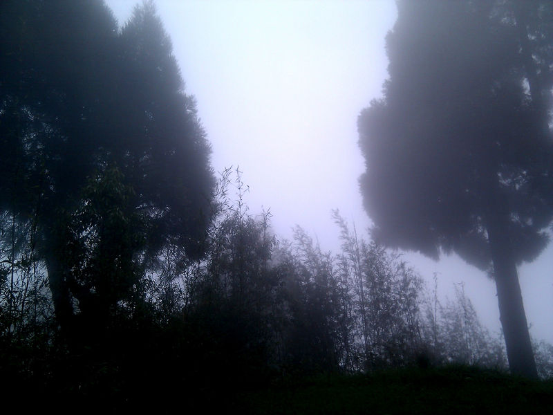 चित्र:Mirik-10.jpg