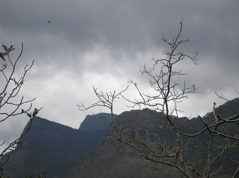 चित्र:Agasthyakoodam-3.jpg