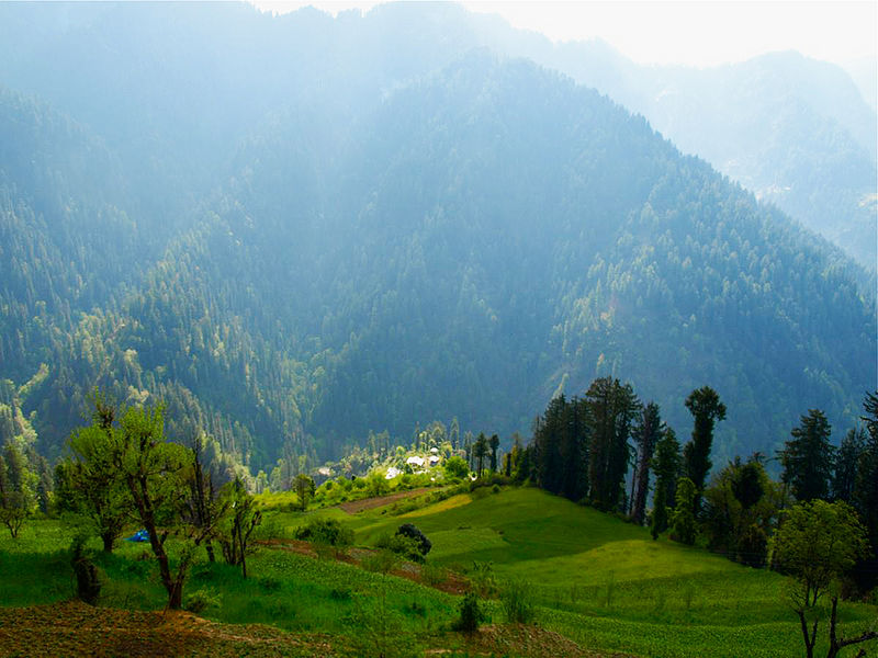 चित्र:Soja-Himachal-Pradesh.jpg