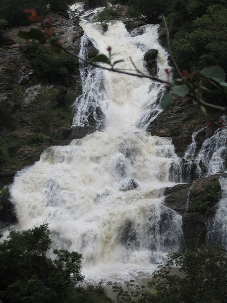 चित्र:Kaveri-River-7.jpg