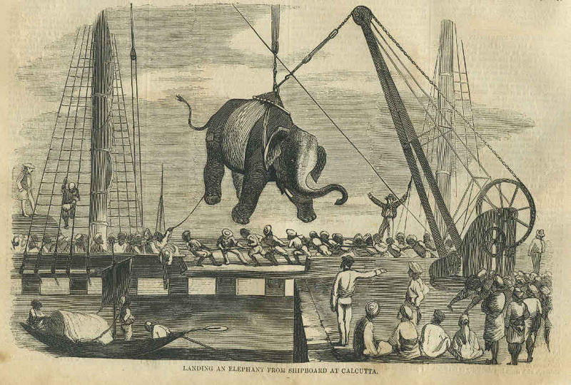 चित्र:Elephant-Landing-Calcutta.jpg