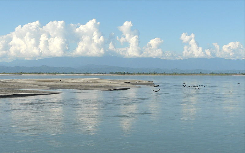 चित्र:Brahmaputra-River-Assam.jpg