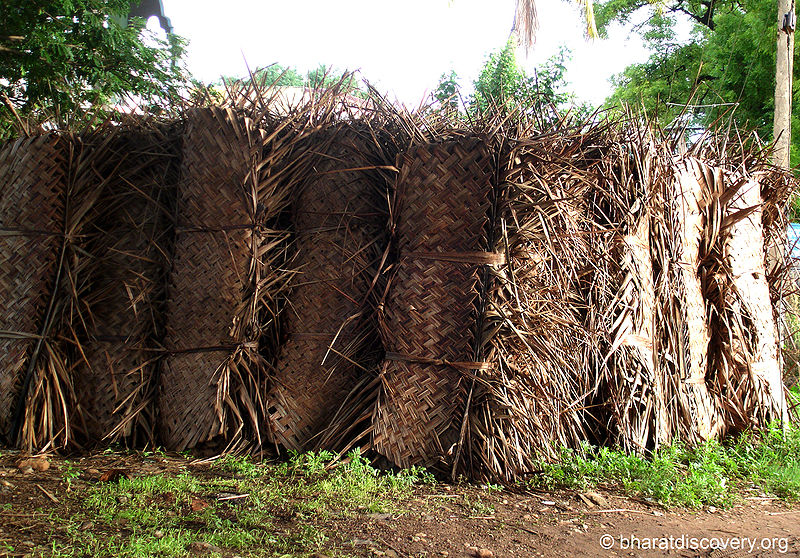 चित्र:Chatai-Coconut-Kerala.jpg