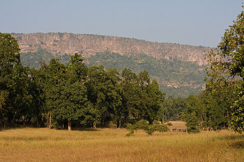बांधवगढ़ राष्ट्रीय उद्यान, जबलपुर