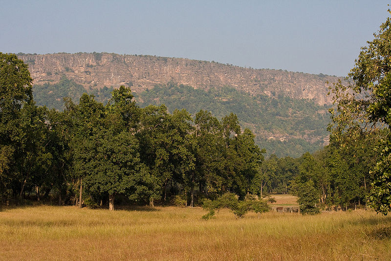 चित्र:Bandhavgarh-National-Park.jpg