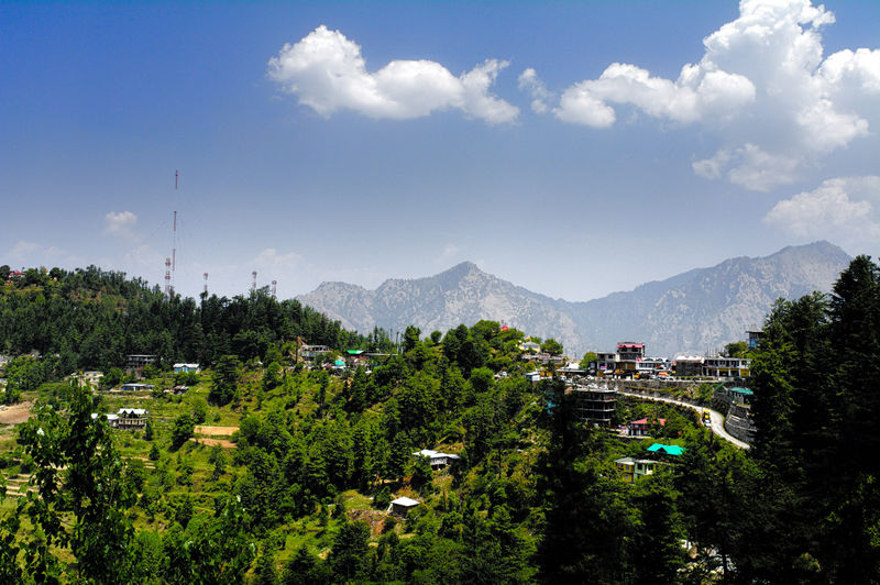 चित्र:Shimla-9.jpg