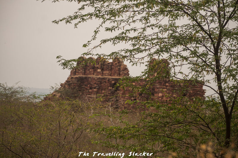 चित्र:Dholpur-6.jpg